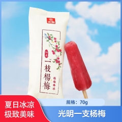 【仅门店】中国/光明一支杨梅