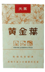黄金叶(天叶)
