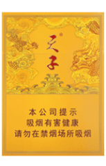 天子(中支)