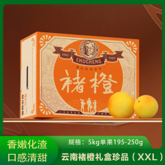 【仅门店】云南/褚橙礼盒珍品（XXL）5kg单果195-250g