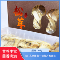 【仅门店】四川/高原臻菌干松茸片家庭装40g