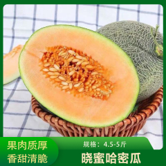 【仅门店】新疆/晓蜜哈密瓜/4.5-5斤/2个装