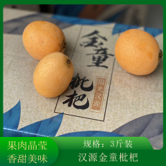 【仅门店】汉源/金童枇杷/3斤装24-30枚±20