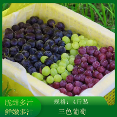 【仅门店】新疆/三色葡萄/4斤装±100g