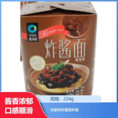【仅门店】中国/宗家府炸酱面杯装224g
