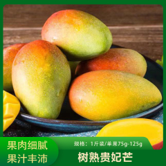 【仅门店】海南/树熟贵妃芒小果1斤装/单果75g-125g