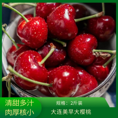 【门店】大连/美早大樱桃2斤装