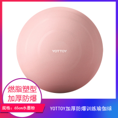 【包邮】江苏/YOTTOY 加厚防爆训练瑜伽球