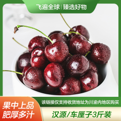 【包邮】川渝内/汉源/车厘子精品大果3斤礼盒装/单果10-14g
