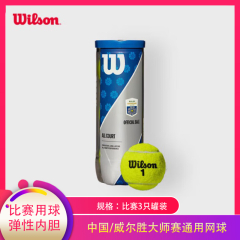 【包邮】中国/威尔胜大师赛通用网球比赛3只罐装