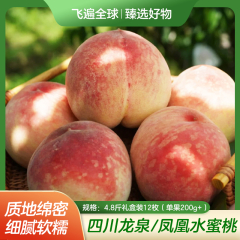 【包邮】四川龙泉/凤凰水蜜桃/4.8斤/12枚礼盒装（单果200g+）