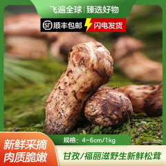 【包邮】甘孜/福丽滋野生新鲜松茸1kg