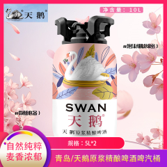 【包邮】青岛/天鹅原浆精酿啤酒啤汽桶5L*2