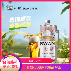 【包邮】天鹅原浆精酿啤酒2L*6