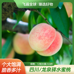 【包邮】四川/龙泉驿水蜜桃12粒大果/4.8斤